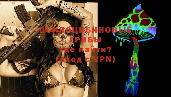 не бодяженный Арсеньев