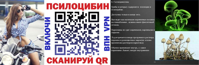 что такое   Могоча  Галлюциногенные грибы MAGIC MUSHROOMS 